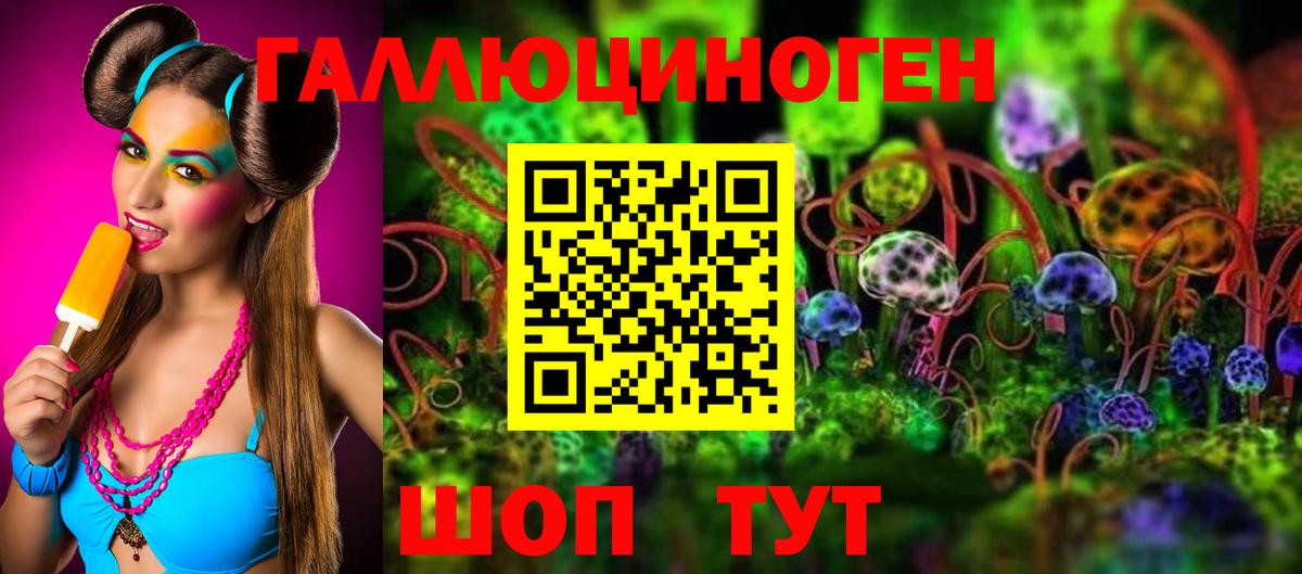 Галлюциногенные грибы Cubensis  Псилоцибиновые грибы Cubensis  Пугачёв  Вход с VPN 