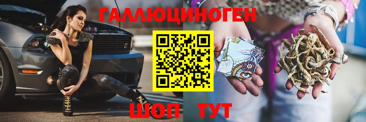 Галлюциногенные грибы Cubensis Пугачёв
